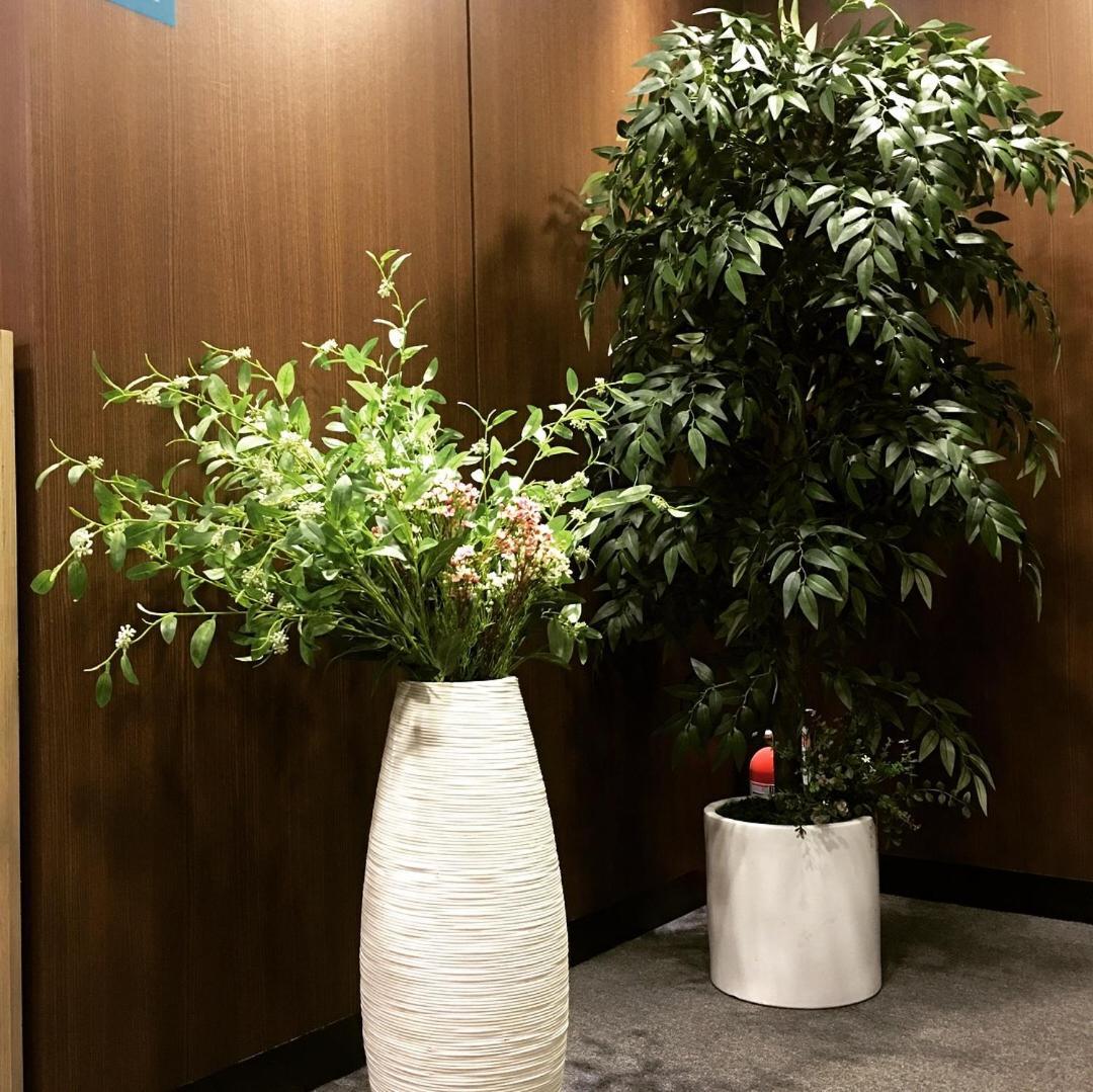 Philstay Myeongdong Station Seoel Buitenkant foto